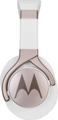 MOTOROLA Pulse Max Wired Headset  (multicolour, On the Ear)